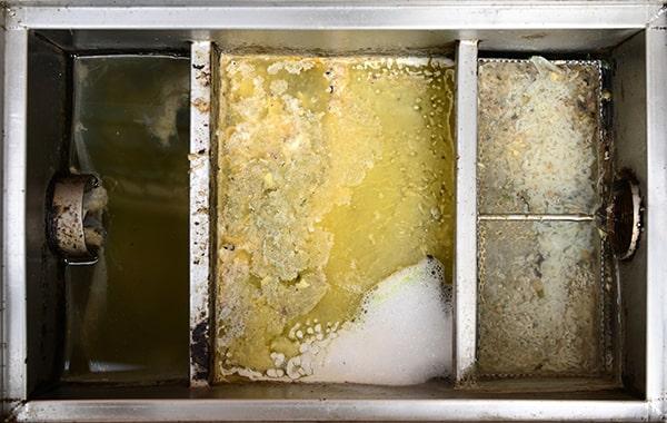 delaying regular grease interceptor cleaning can cause plumbing concerns, foul odors, and health code infractions